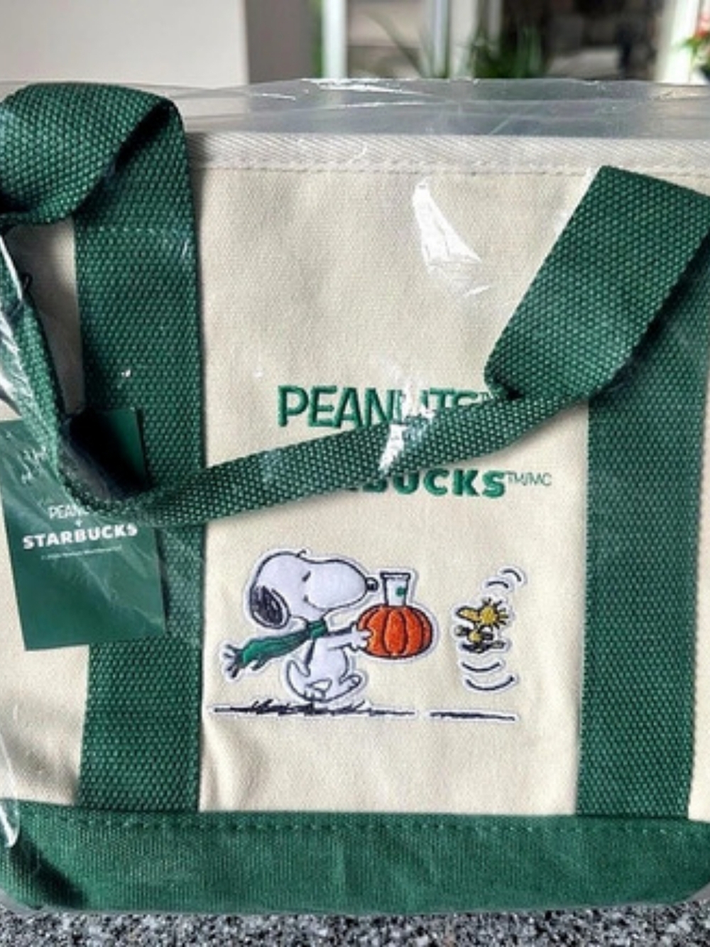 Peanuts Starbucks Snoopy Pumpkin Tote Green & Cream Tote NWT In Plastic